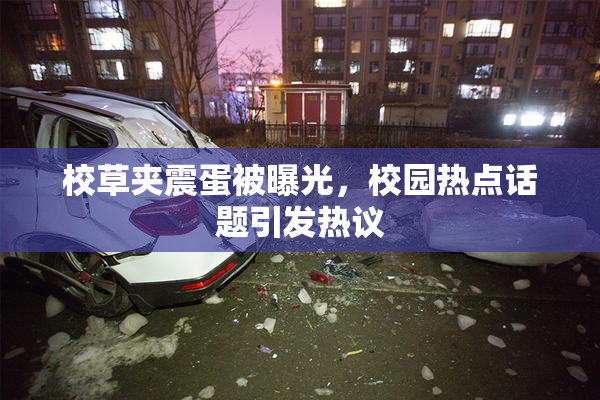 校草夹震蛋被曝光，校园热点话题引发热议