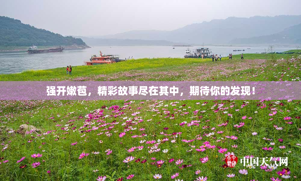 强开嫩苞，精彩故事尽在其中，期待你的发现！