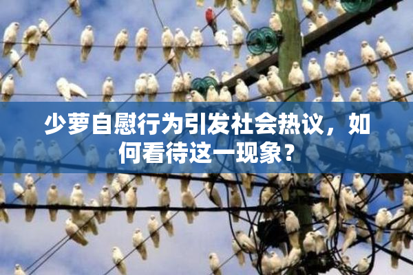 少萝自慰行为引发社会热议，如何看待这一现象？