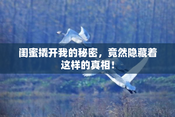 闺蜜撬开我的秘密，竟然隐藏着这样的真相！