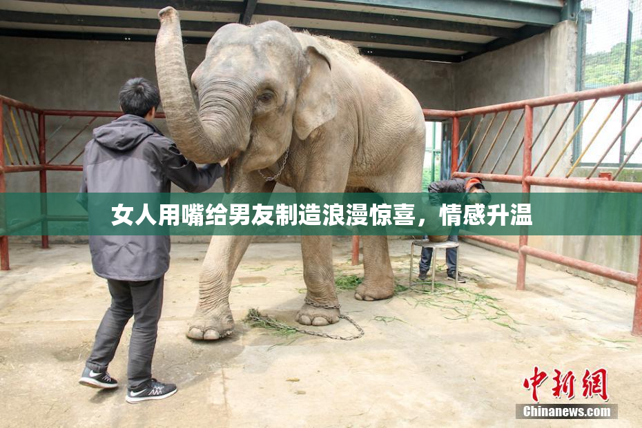 女人用嘴给男友制造浪漫惊喜，情感升温