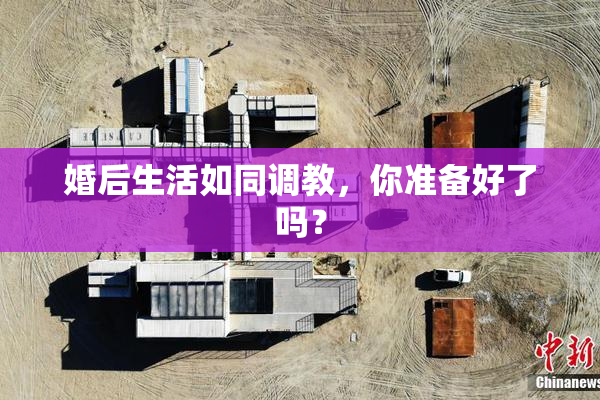 婚后生活如同调教，你准备好了吗？