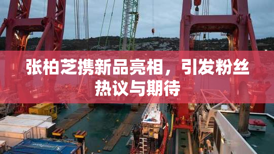 张柏芝携新品亮相，引发粉丝热议与期待