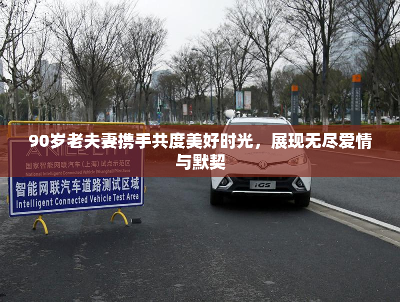 90岁老夫妻携手共度美好时光，展现无尽爱情与默契