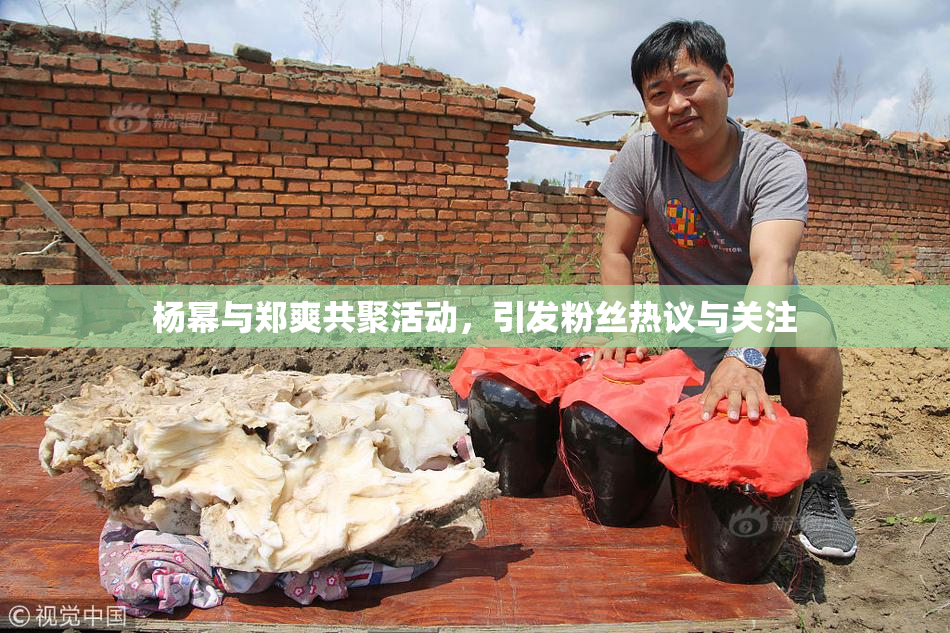 杨幂与郑爽共聚活动，引发粉丝热议与关注
