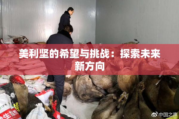 美利坚的希望与挑战：探索未来新方向