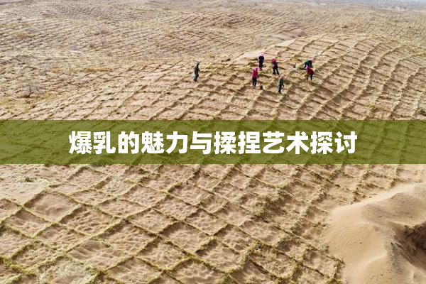 爆乳的魅力与揉捏艺术探讨
