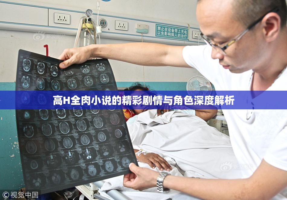 高H全肉小说的精彩剧情与角色深度解析