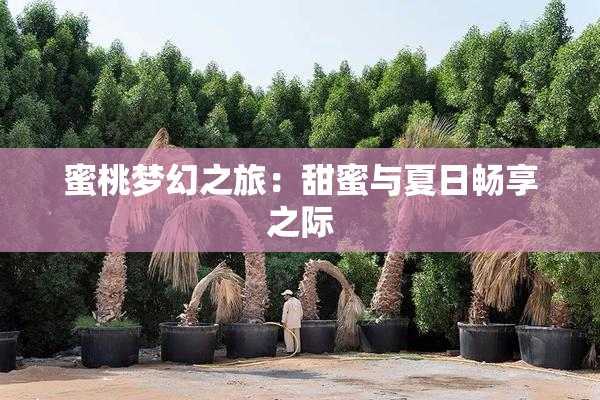 蜜桃梦幻之旅：甜蜜与夏日畅享之际