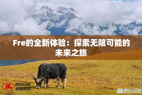 Fre的全新体验：探索无限可能的未来之旅