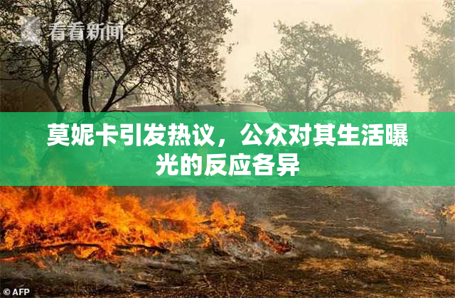 莫妮卡引发热议，公众对其生活曝光的反应各异