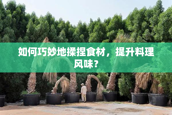如何巧妙地揉捏食材，提升料理风味？