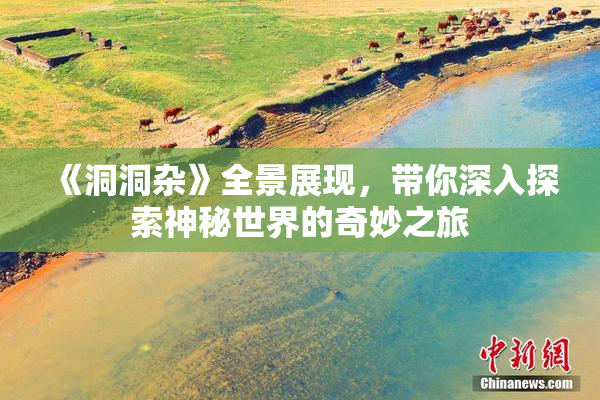 《洞洞杂》全景展现，带你深入探索神秘世界的奇妙之旅