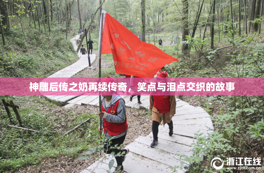 神雕后传之奶再续传奇，笑点与泪点交织的故事