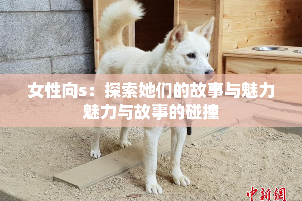女性向s：探索她们的故事与魅力魅力与故事的碰撞