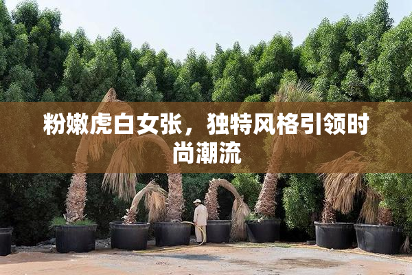 粉嫩虎白女张，独特风格引领时尚潮流