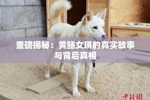 重磅揭秘：黄鳝女琪的真实故事与背后真相