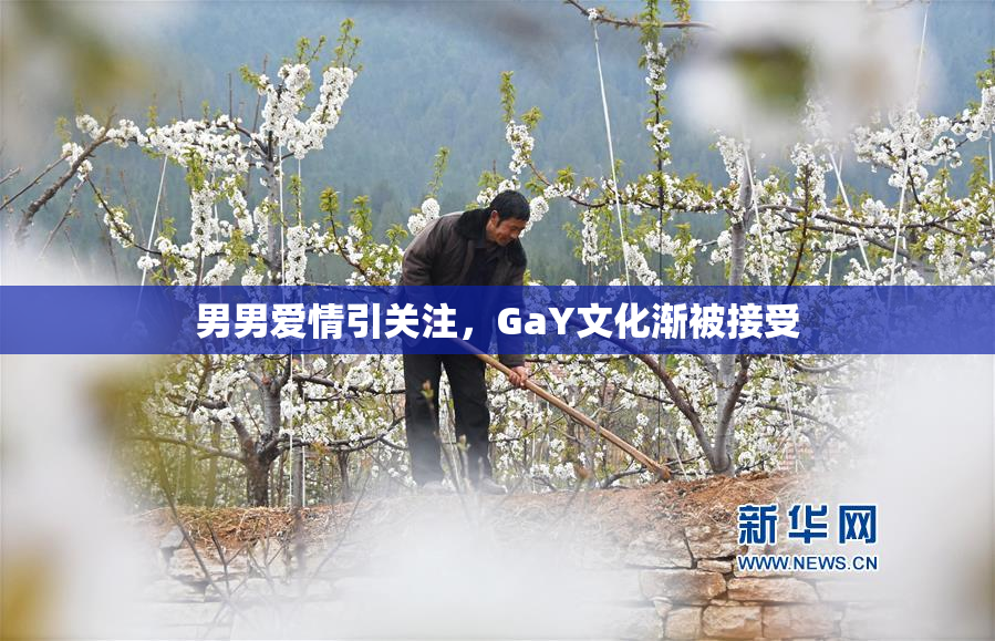 男男爱情引关注，GaY文化渐被接受
