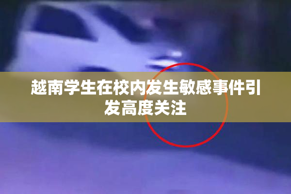 越南学生在校内发生敏感事件引发高度关注