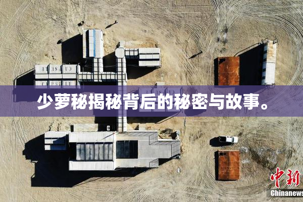 少萝秘揭秘背后的秘密与故事。