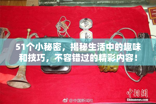 51个小秘密，揭秘生活中的趣味和技巧，不容错过的精彩内容！