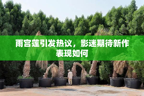 雨宫莲引发热议，影迷期待新作表现如何