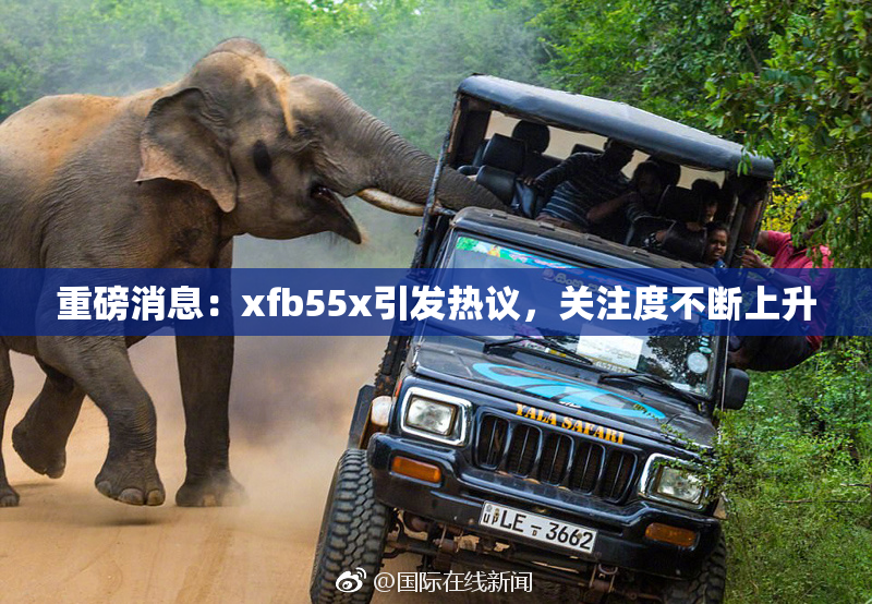 重磅消息：xfb55x引发热议，关注度不断上升