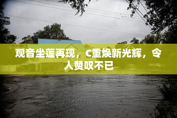 观音坐莲再现，C重焕新光辉，令人赞叹不已