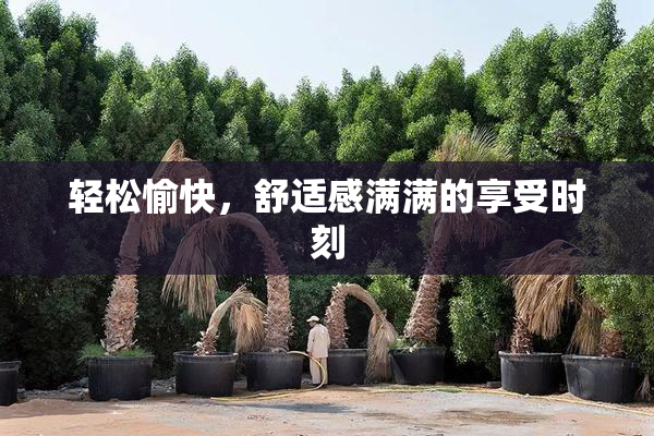 轻松愉快，舒适感满满的享受时刻
