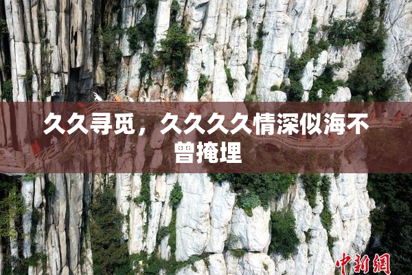 久久寻觅，久久久久情深似海不曾掩埋