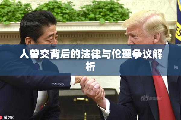 人兽交背后的法律与伦理争议解析