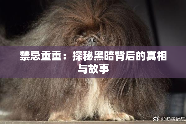 禁忌重重：探秘黑暗背后的真相与故事