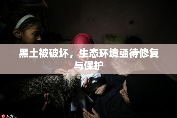 黑土被破坏，生态环境亟待修复与保护
