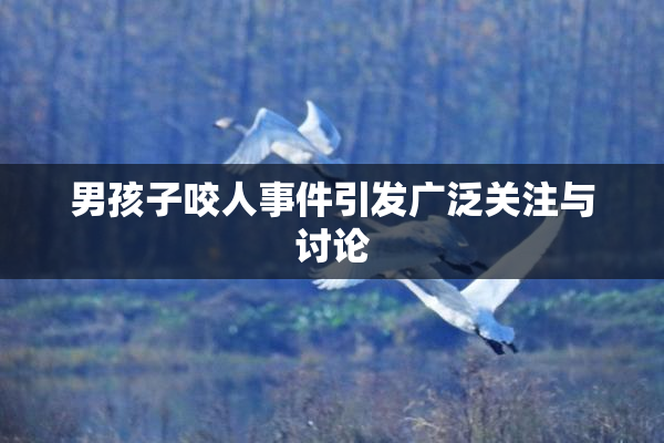 男孩子咬人事件引发广泛关注与讨论