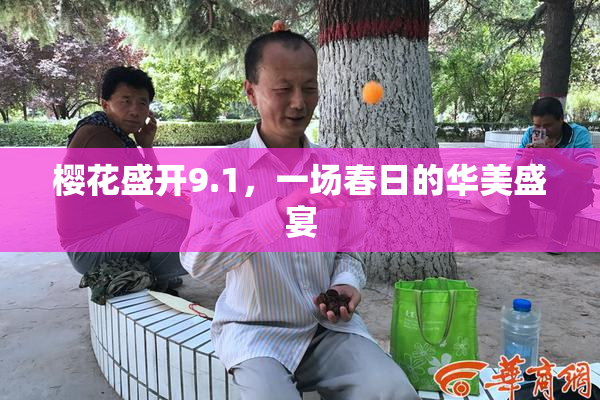 樱花盛开9.1，一场春日的华美盛宴
