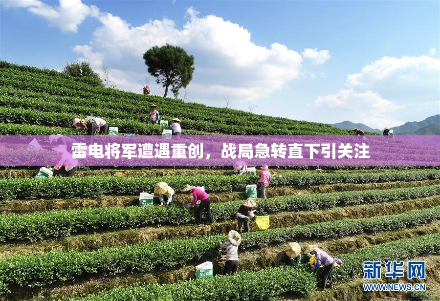 雷电将军遭遇重创，战局急转直下引关注