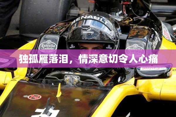 独孤雁落泪，情深意切令人心痛