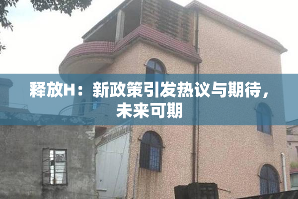 释放H：新政策引发热议与期待，未来可期