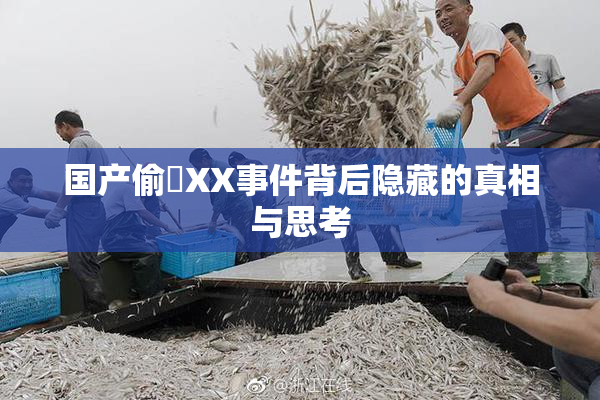 国产偷抇XX事件背后隐藏的真相与思考