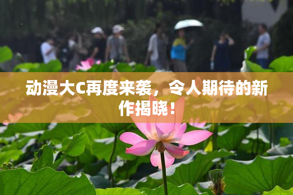 动漫大C再度来袭，令人期待的新作揭晓！
