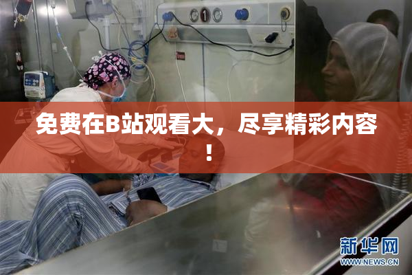免费在B站观看大，尽享精彩内容！