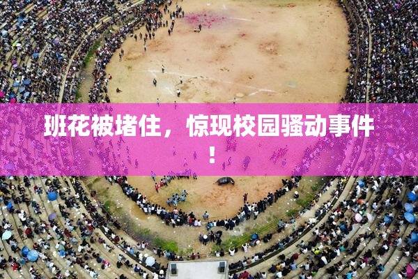 班花被堵住，惊现校园骚动事件！