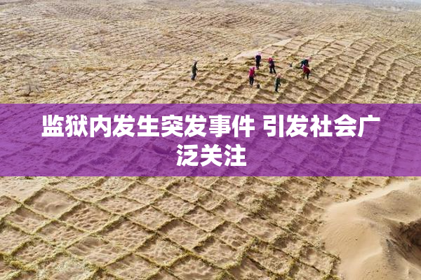 监狱内发生突发事件 引发社会广泛关注