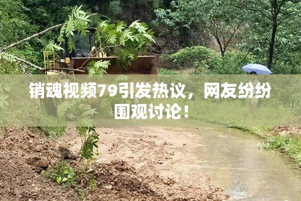 销魂视频79引发热议，网友纷纷围观讨论！