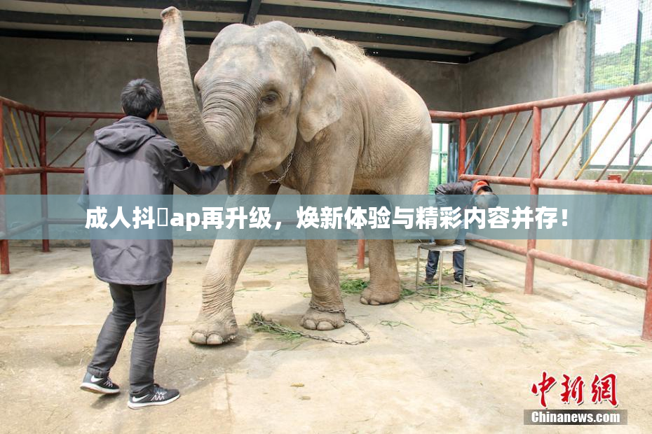 成人抖抈ap再升级，焕新体验与精彩内容并存！