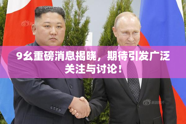 9幺重磅消息揭晓，期待引发广泛关注与讨论！