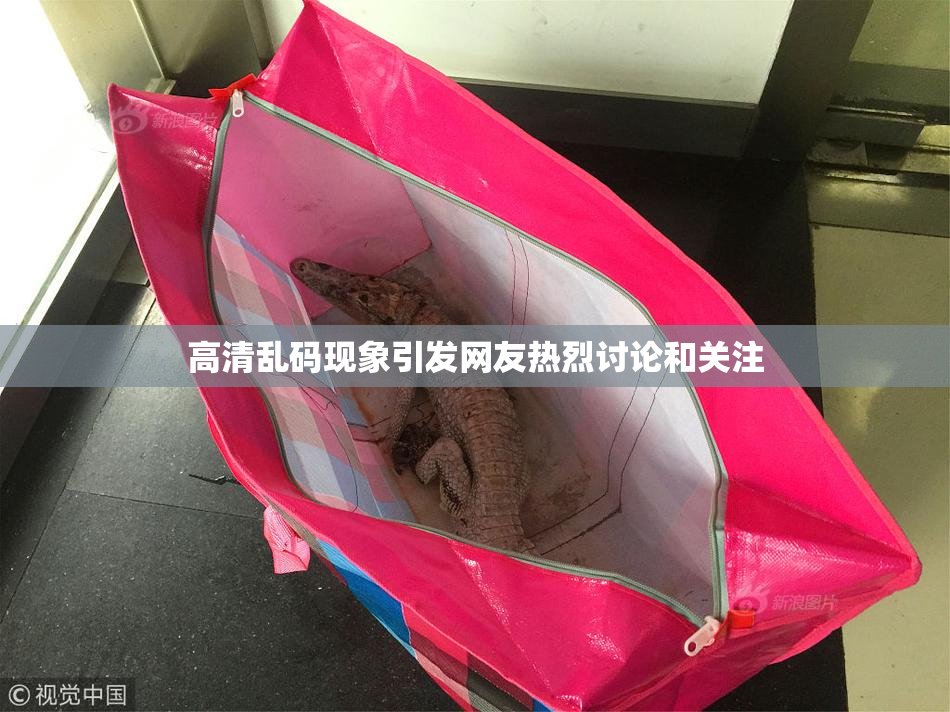 高清乱码现象引发网友热烈讨论和关注