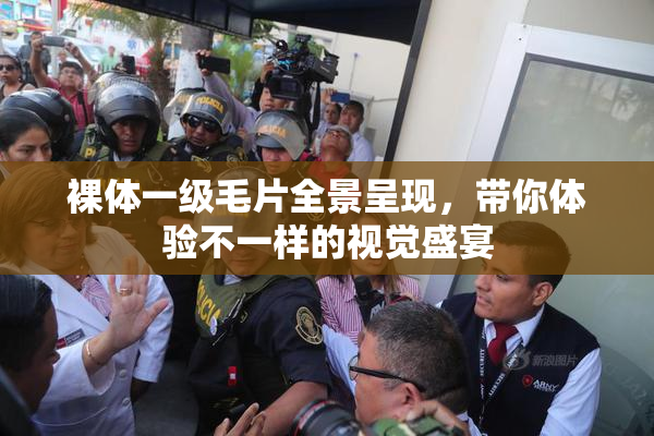 裸体一级毛片全景呈现，带你体验不一样的视觉盛宴