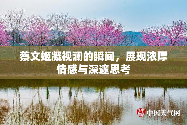 蔡文姬凝视澜的瞬间，展现浓厚情感与深邃思考