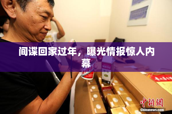 间谍回家过年，曝光情报惊人内幕